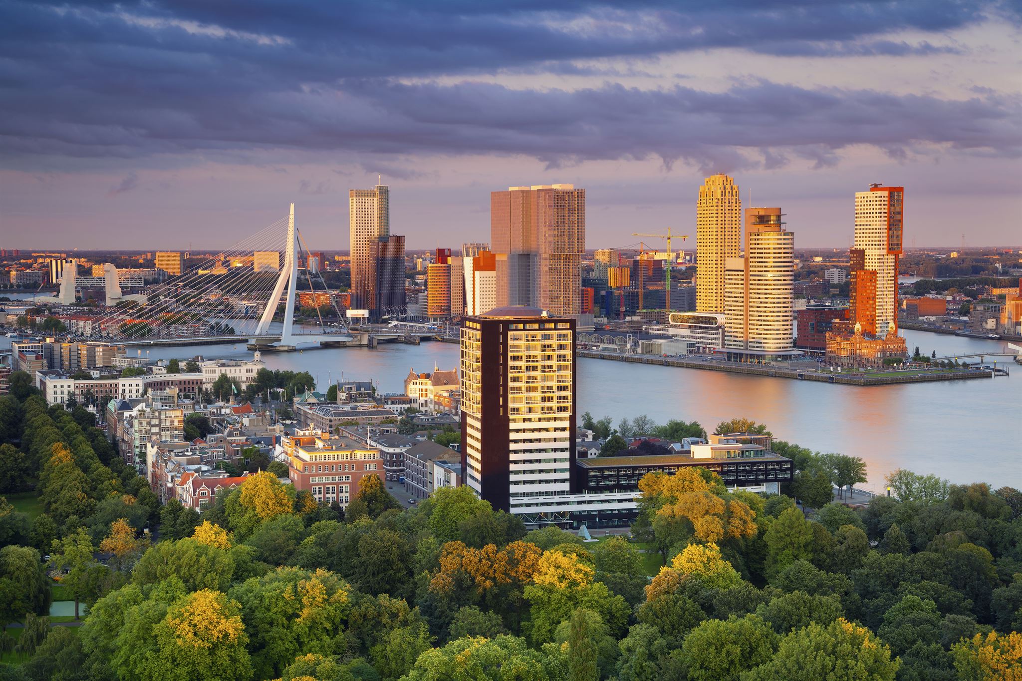 Aerial view of Rotterdam at dusk